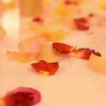 Les Parfums de Rosine Launch